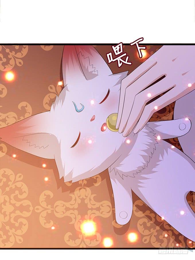 《妲己不是坏狐狸》孤与你同在 第13页