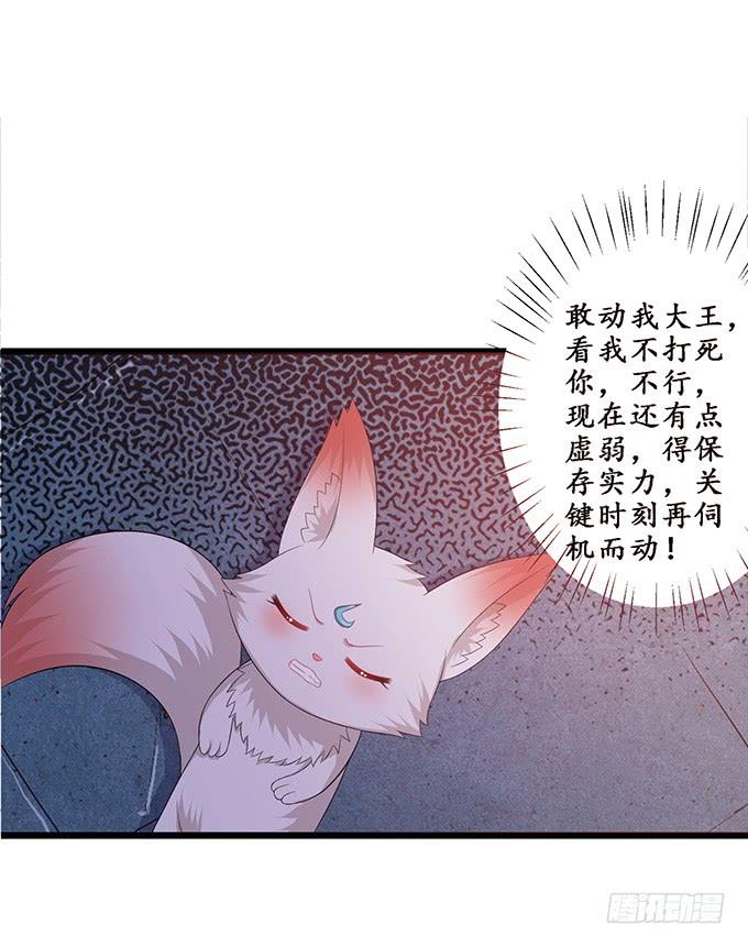 《妲己不是坏狐狸》危险的处境 第28页