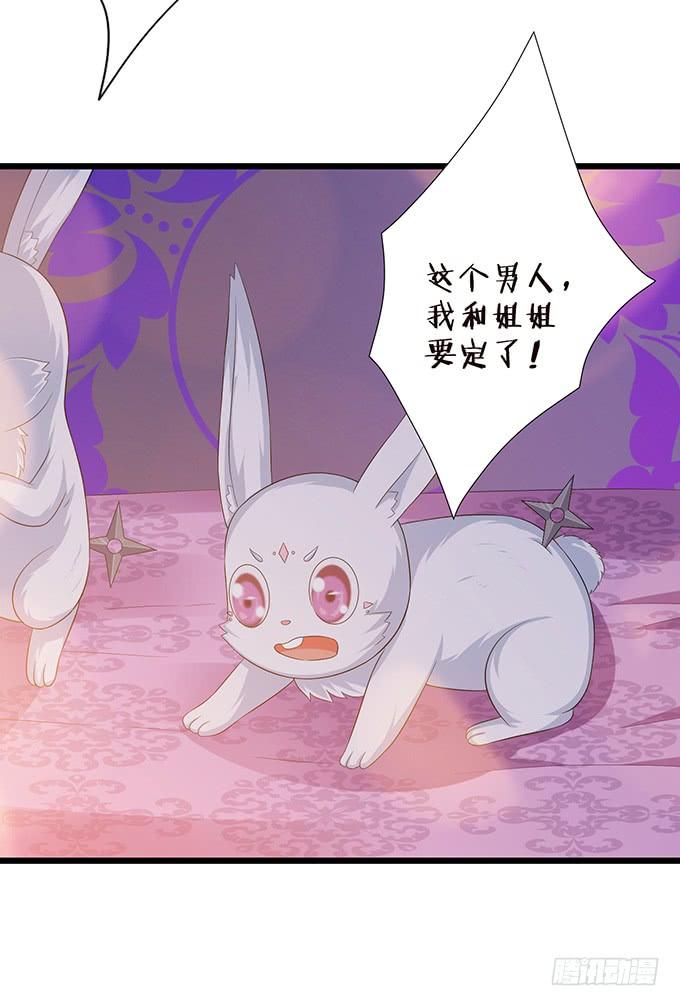 《妲己不是坏狐狸》槐下的美男 第12页