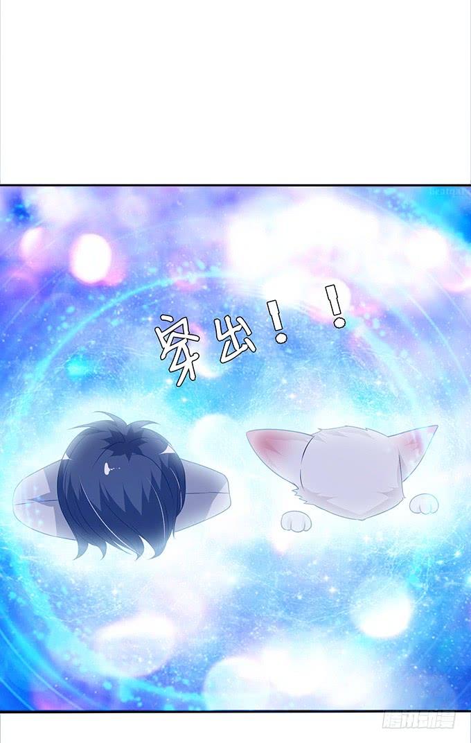 《妲己不是坏狐狸》槐下的美男 第52页