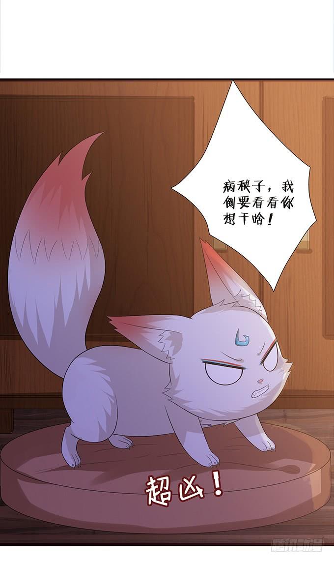 《妲己不是坏狐狸》鲜美的气息 第33页