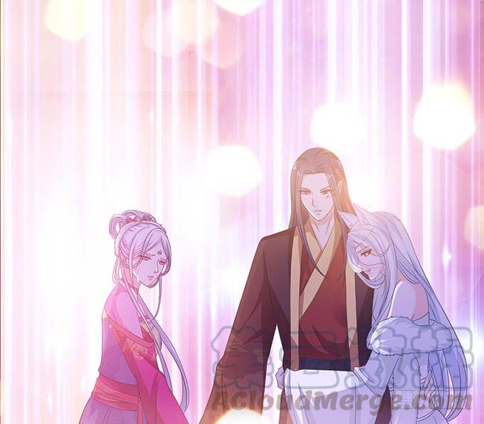 《妲己不是坏狐狸》迷失的新娘 第1页