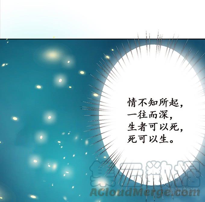 《妲己不是坏狐狸》孤独的成全 第41页