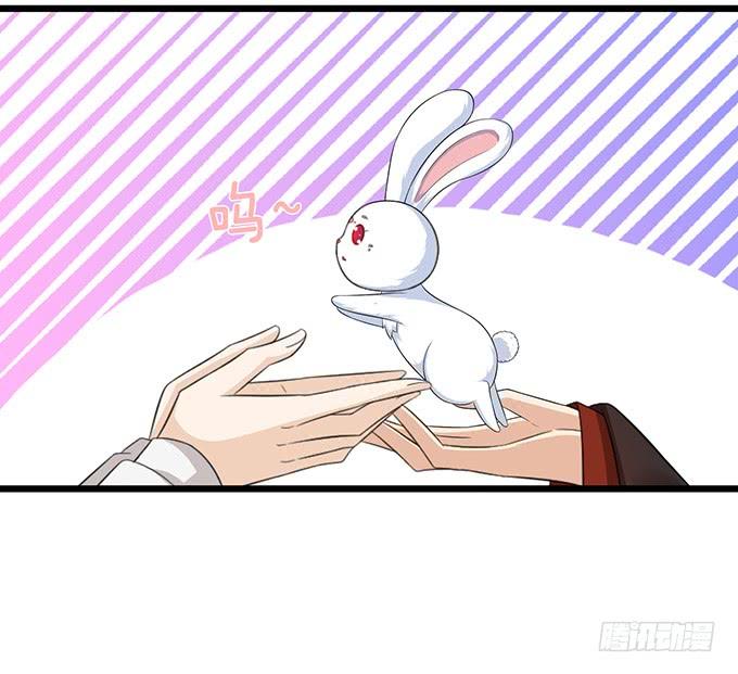 《妲己不是坏狐狸》孤独的成全 第72页