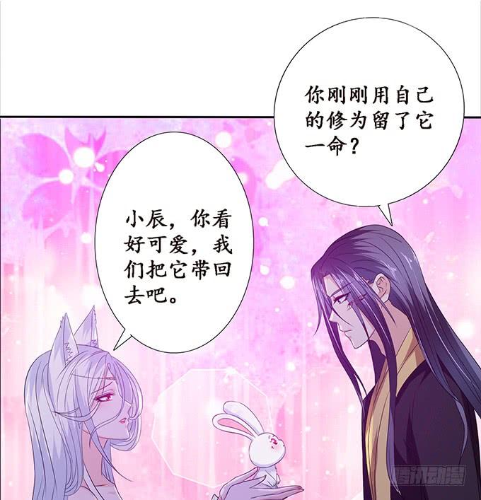 《妲己不是坏狐狸》孤独的成全 第53页