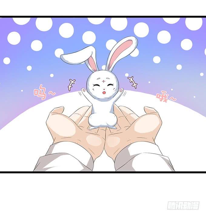 《妲己不是坏狐狸》孤独的成全 第75页