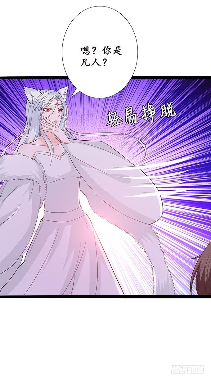 《妲己不是坏狐狸》东伯侯登场 第33页