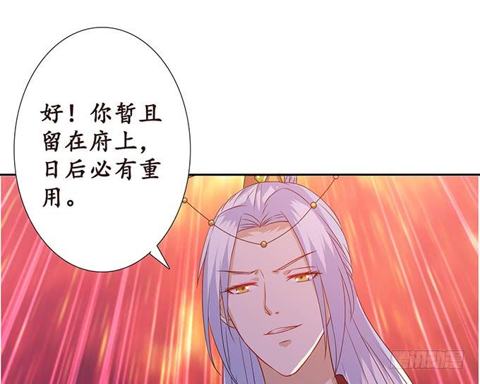 《妲己不是坏狐狸》六宫无颜色 第43页