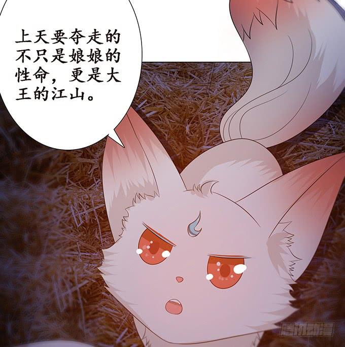 《妲己不是坏狐狸》无情帝王家 第25页