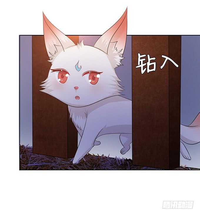 《妲己不是坏狐狸》无情帝王家 第22页