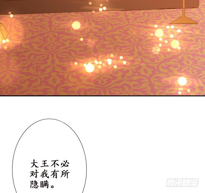 《妲己不是坏狐狸》突来的子嗣 第64页