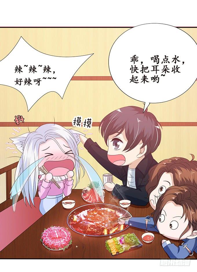 《妲己不是坏狐狸》卿包君满意 第44页