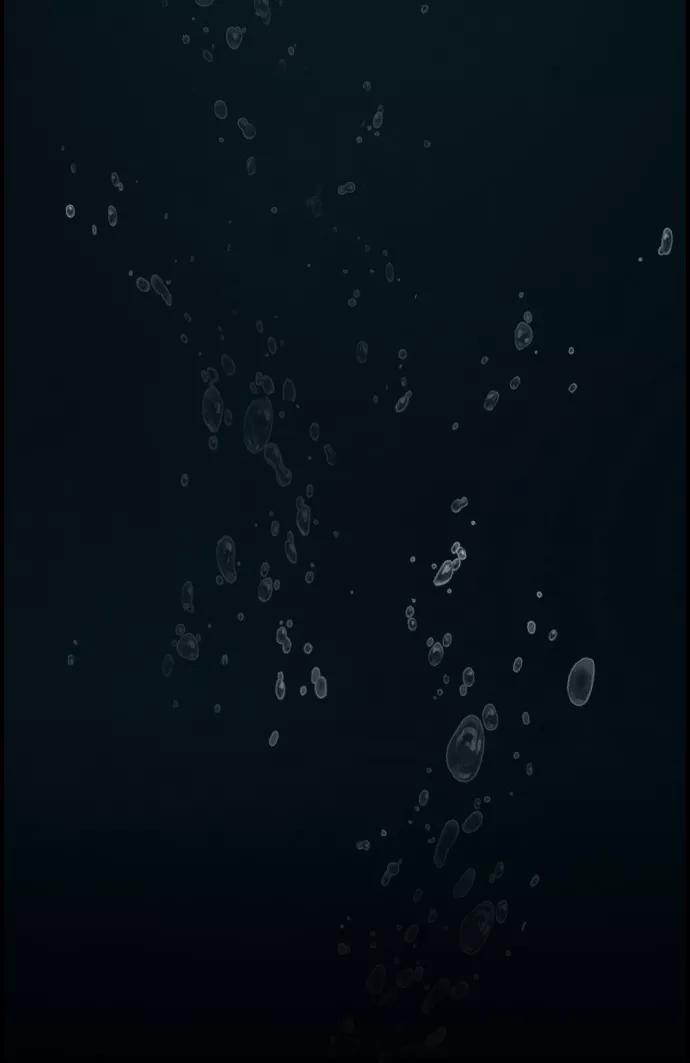 《夜钓》最终话 第115页