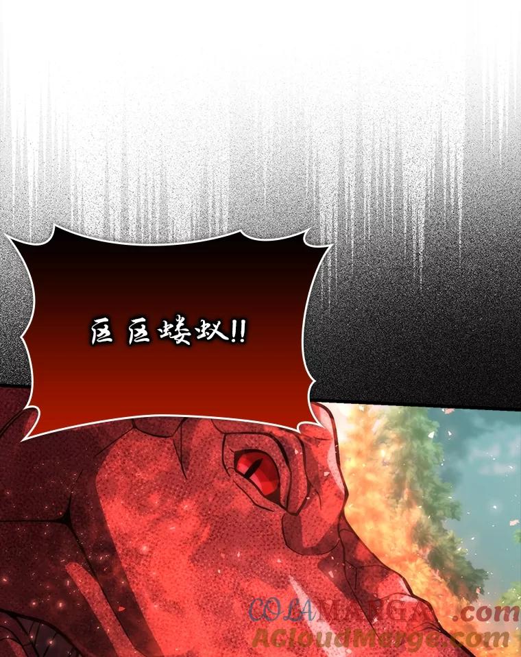 《勇士非也，魔王是也》58.攻打首领怪副本 第113页