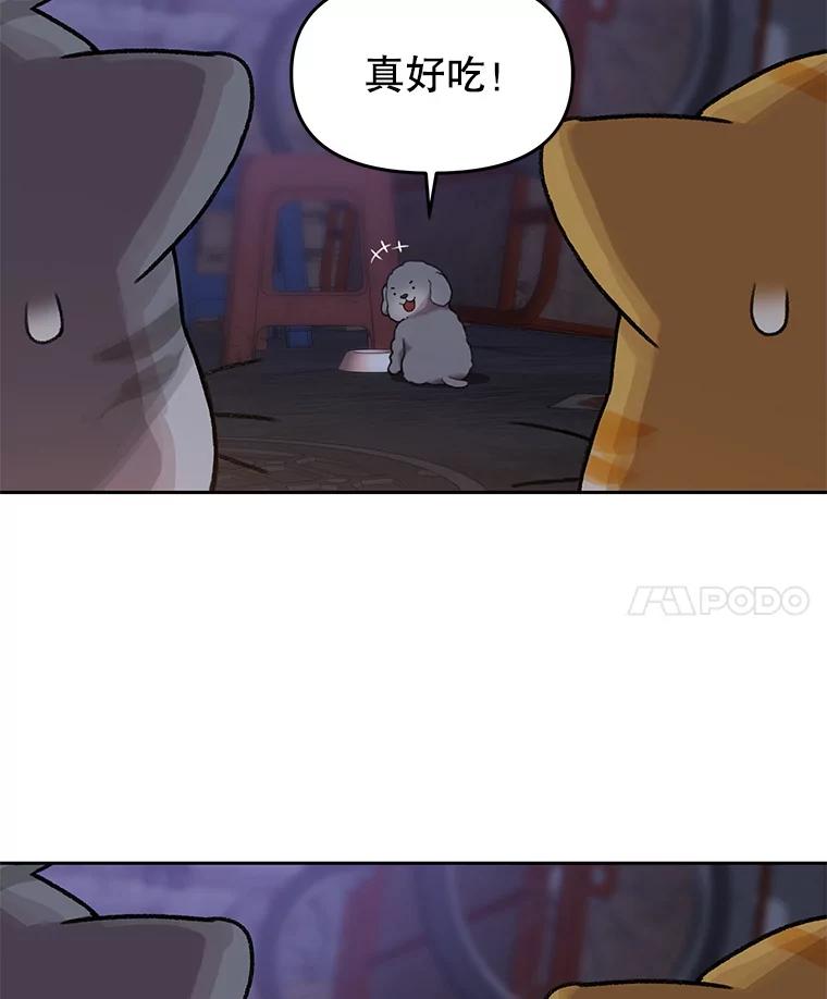 《彩虹桥守望者》108.假新闻 第68页