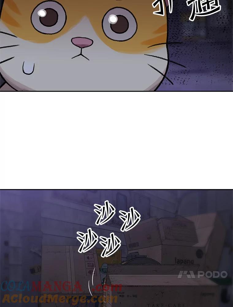 《彩虹桥守望者》108.假新闻 第61页