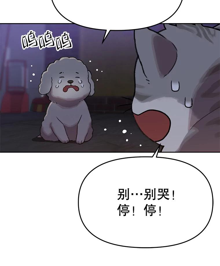 《彩虹桥守望者》108.假新闻 第71页