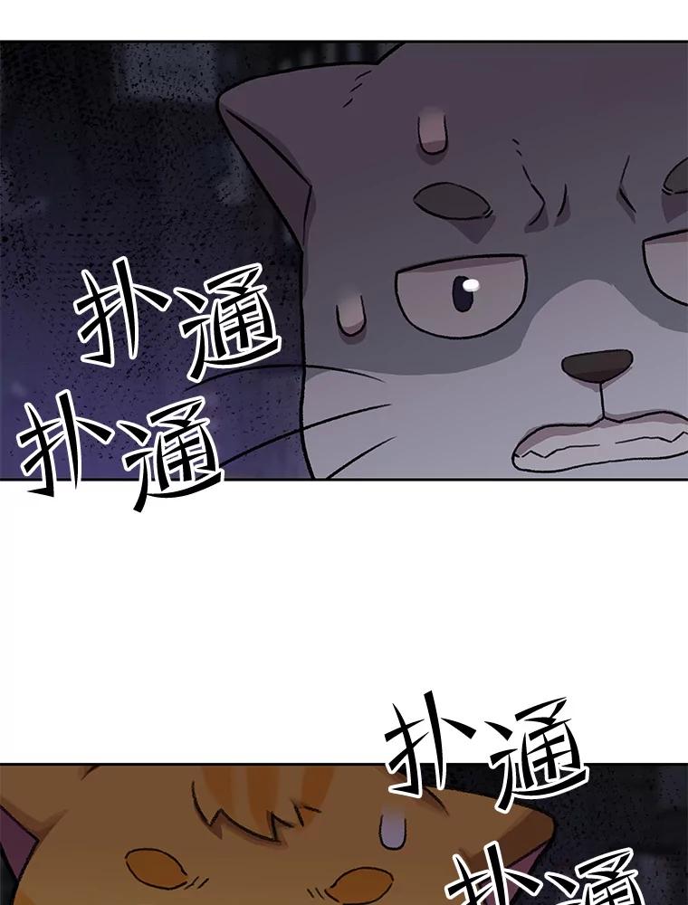 《彩虹桥守望者》108.假新闻 第60页