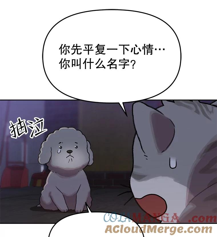 《彩虹桥守望者》108.假新闻 第73页