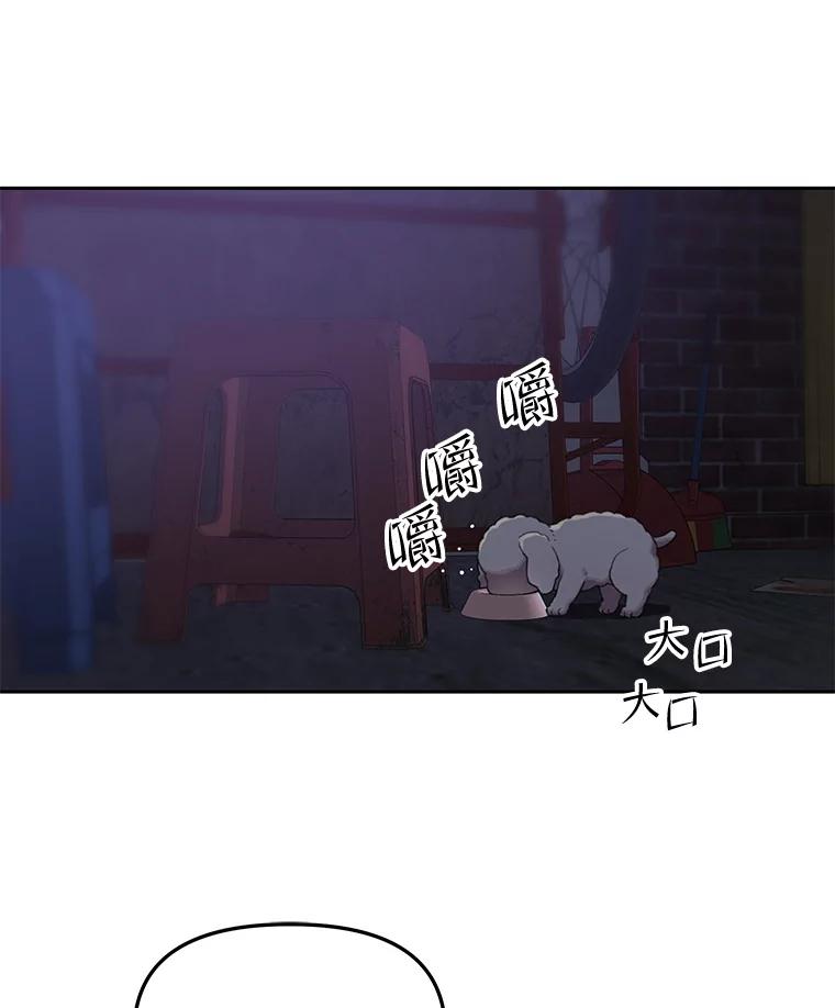 《彩虹桥守望者》108.假新闻 第66页