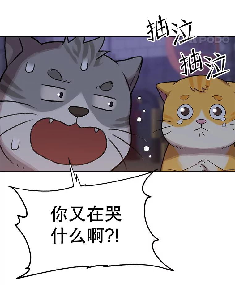 《彩虹桥守望者》108.假新闻 第72页