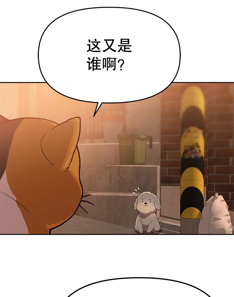 《彩虹桥守望者》109.约瑟夫 第51页