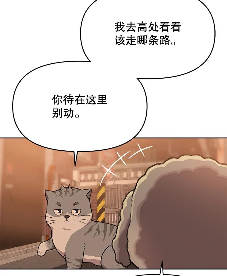 《彩虹桥守望者》109.约瑟夫 第48页