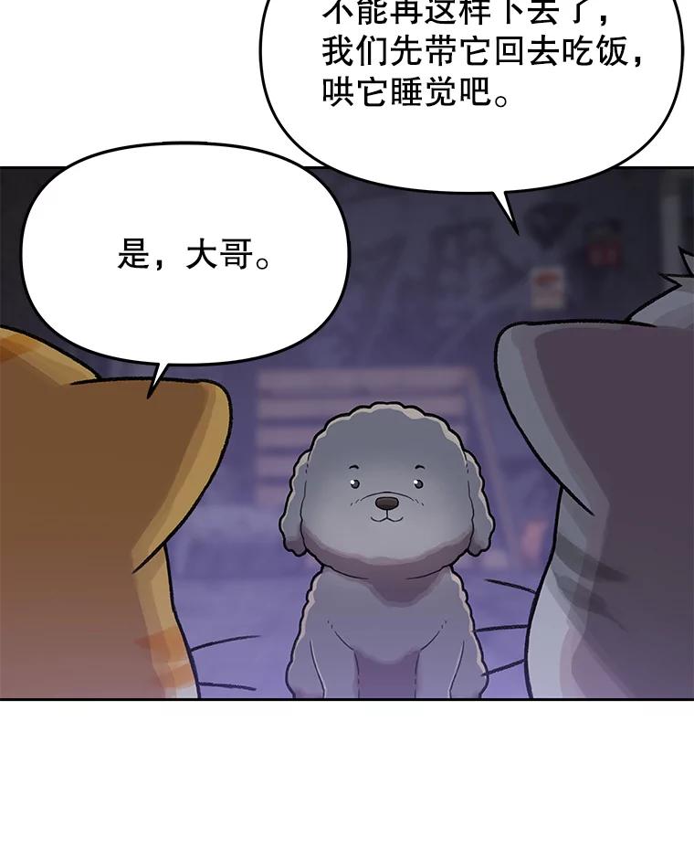 《彩虹桥守望者》109.约瑟夫 第17页