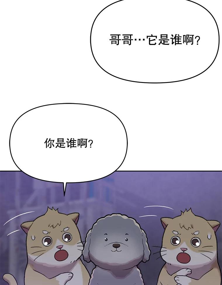 《彩虹桥守望者》109.约瑟夫 第20页