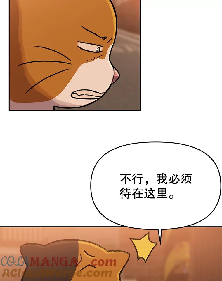 《彩虹桥守望者》109.约瑟夫 第55页