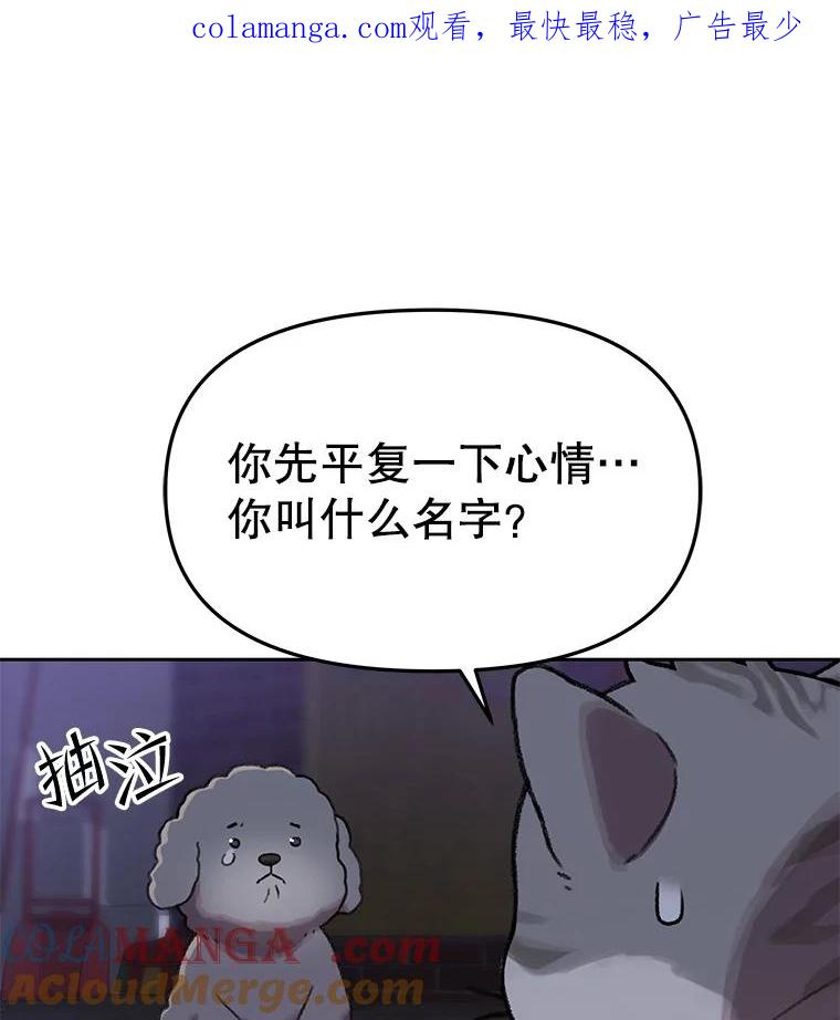 《彩虹桥守望者》109.约瑟夫 第1页