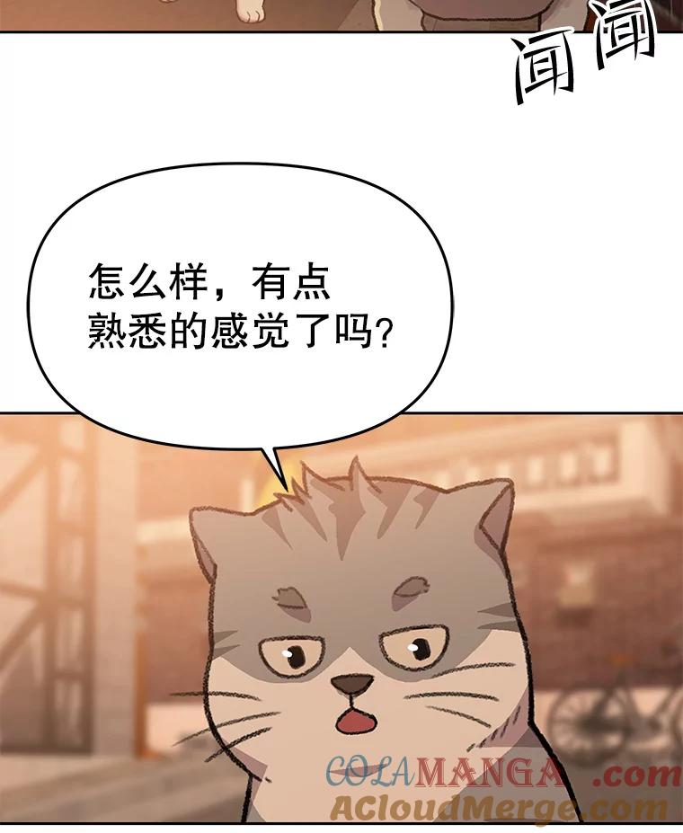 《彩虹桥守望者》109.约瑟夫 第46页