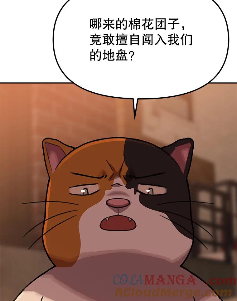 《彩虹桥守望者》109.约瑟夫 第52页