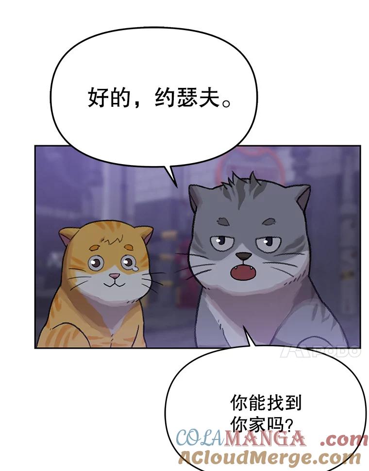 《彩虹桥守望者》109.约瑟夫 第4页