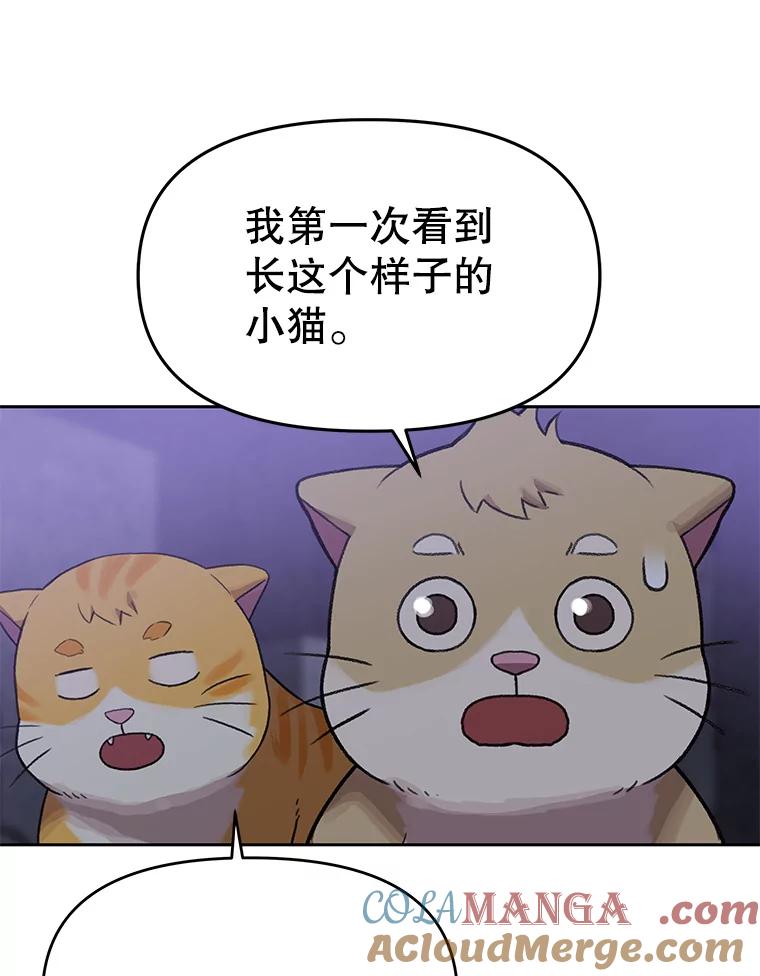 《彩虹桥守望者》109.约瑟夫 第22页