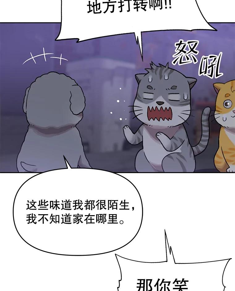 《彩虹桥守望者》109.约瑟夫 第14页