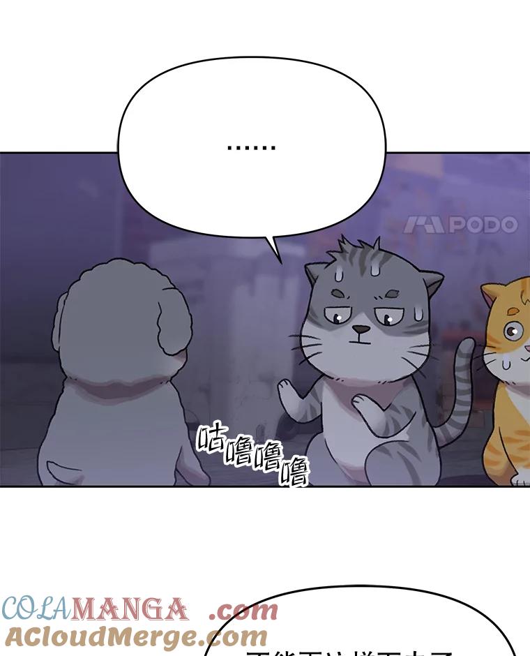 《彩虹桥守望者》109.约瑟夫 第16页