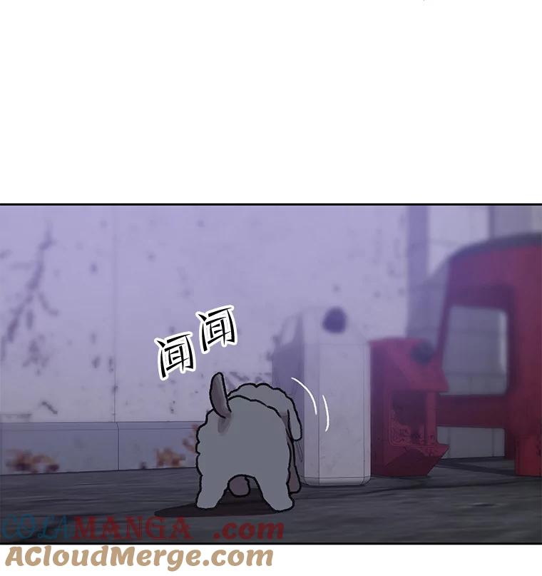 《彩虹桥守望者》109.约瑟夫 第10页