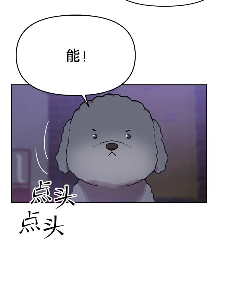 《彩虹桥守望者》109.约瑟夫 第5页