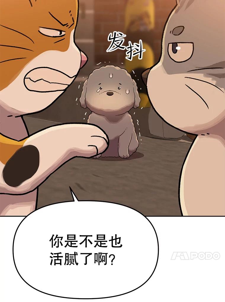 《彩虹桥守望者》109.约瑟夫 第63页