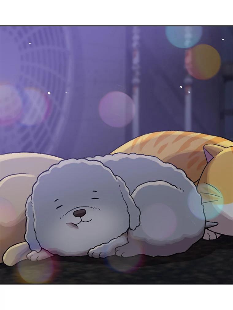 《彩虹桥守望者》109.约瑟夫 第27页
