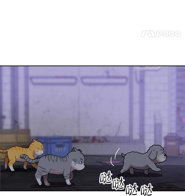 《彩虹桥守望者》109.约瑟夫 第9页