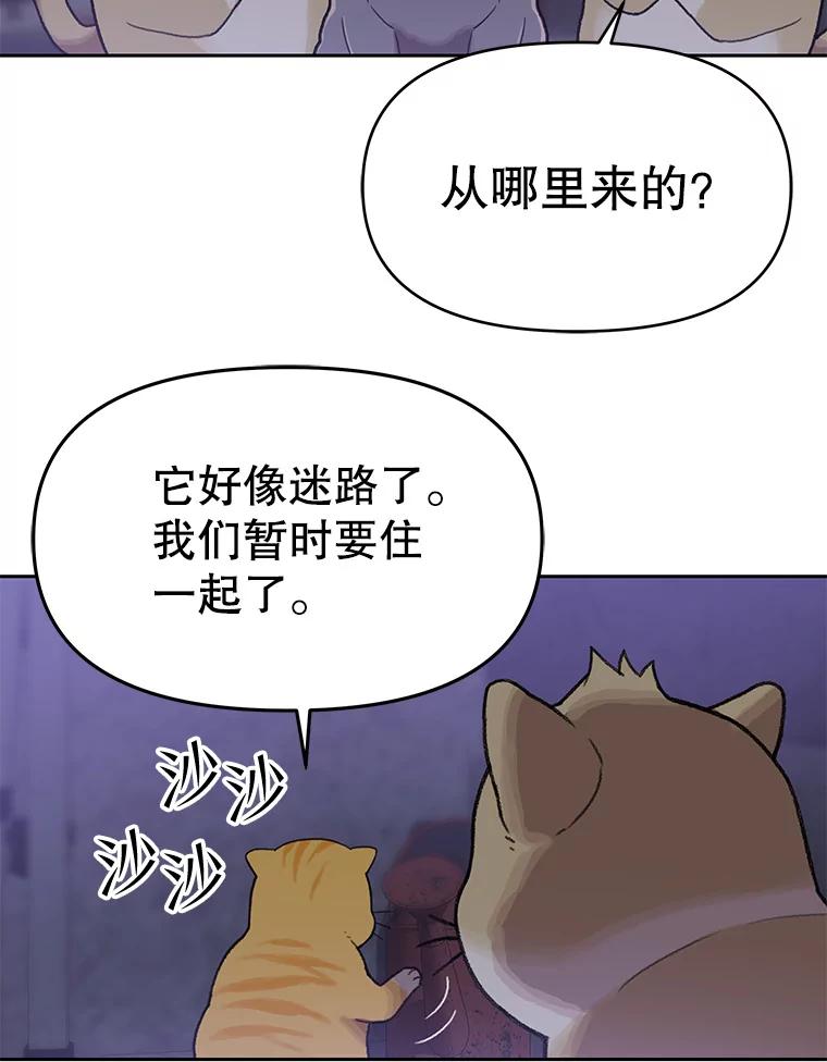 《彩虹桥守望者》109.约瑟夫 第21页
