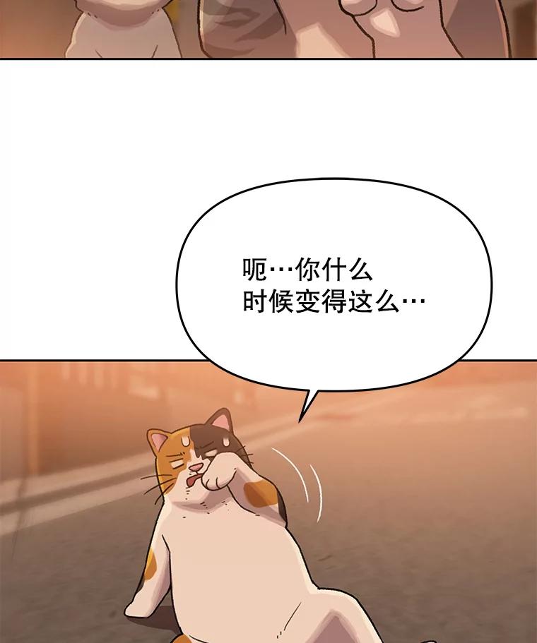 《彩虹桥守望者》109.约瑟夫 第66页