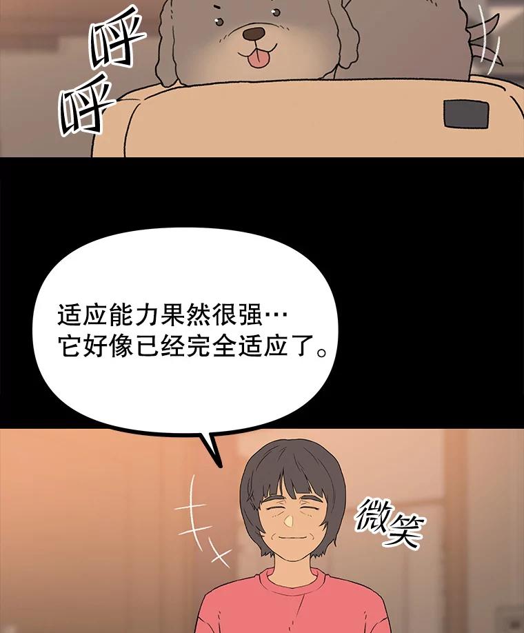 《彩虹桥守望者》110.约瑟夫的故事 第24页