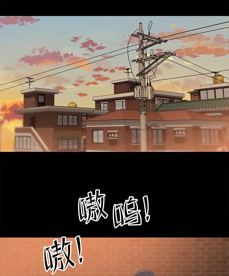 《彩虹桥守望者》111.约瑟夫丢了 第65页