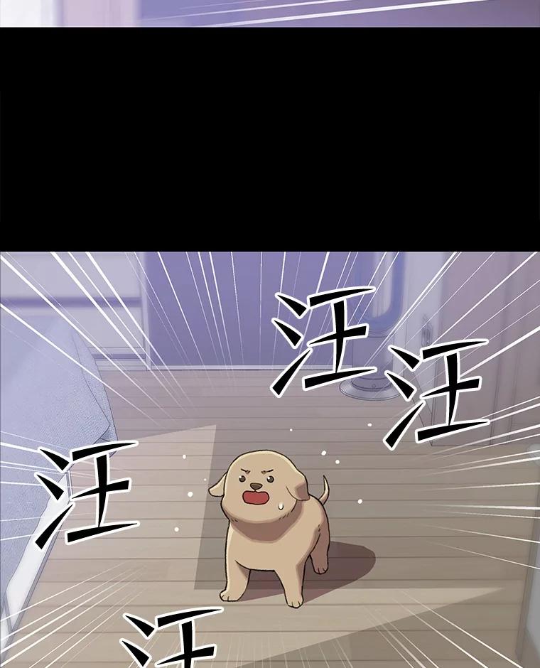《彩虹桥守望者》111.约瑟夫丢了 第33页