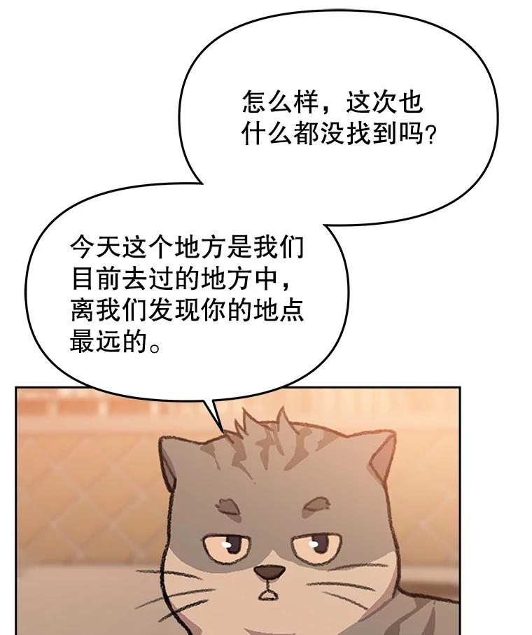 《彩虹桥守望者》112.被坏人找到 第35页