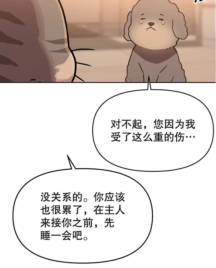 《彩虹桥守望者》112.被坏人找到 第86页