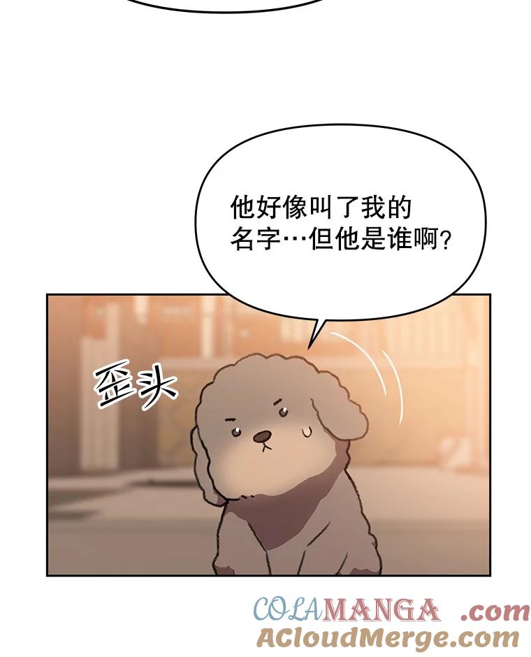 《彩虹桥守望者》112.被坏人找到 第45页